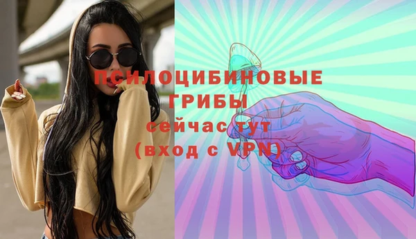 бошки Струнино