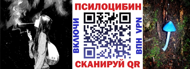 Галлюциногенные грибы Psilocybe  цена   Гатчина 