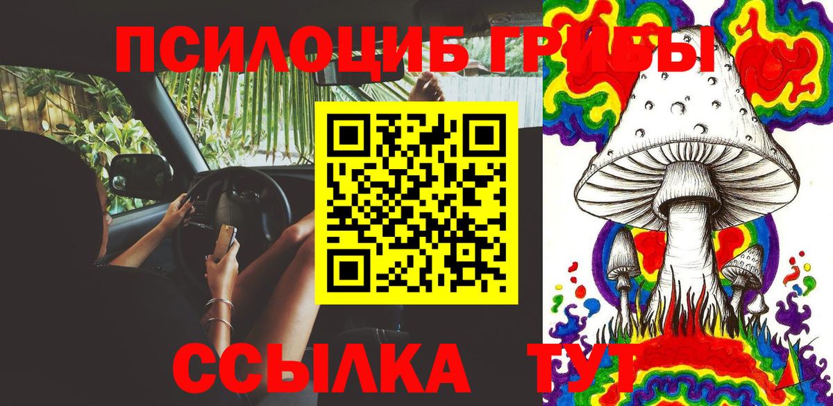 Галлюциногенные грибы мухоморы  Галлюциногенные грибы Magic Shrooms  Гатчина 