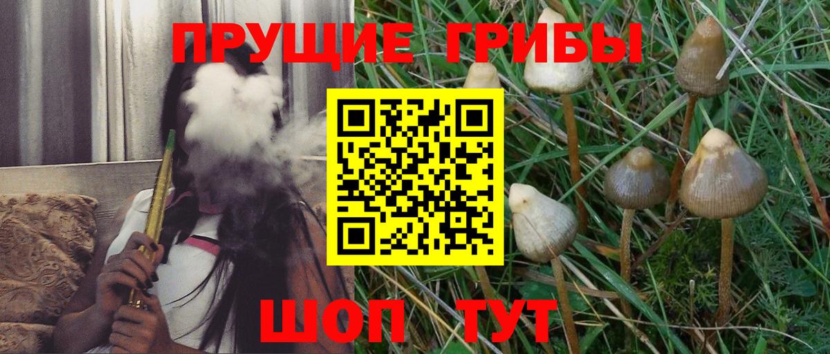 Галлюциногенные грибы GOLDEN TEACHER Гатчина