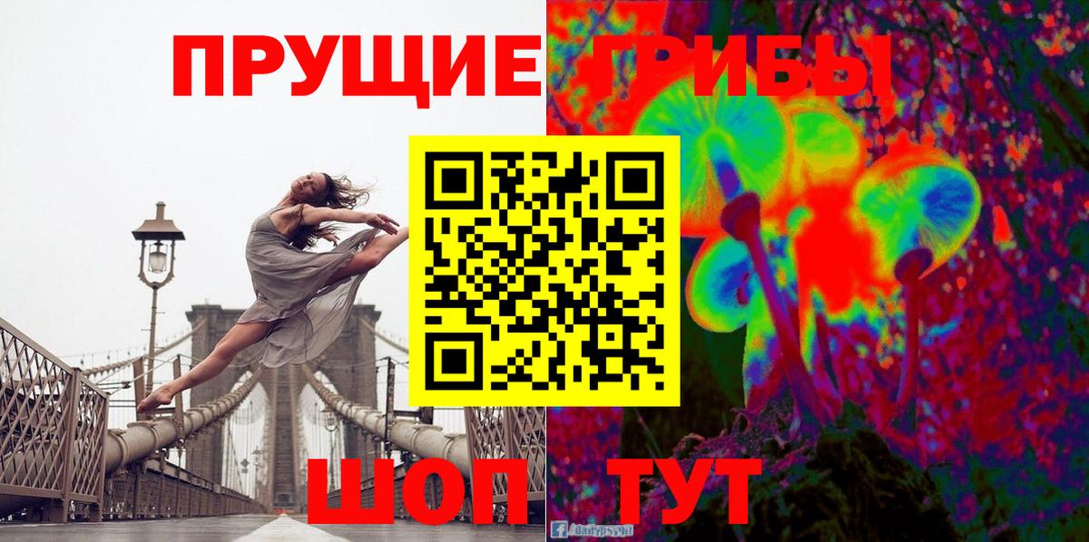 Псилоцибиновые грибы GOLDEN TEACHER Гатчина